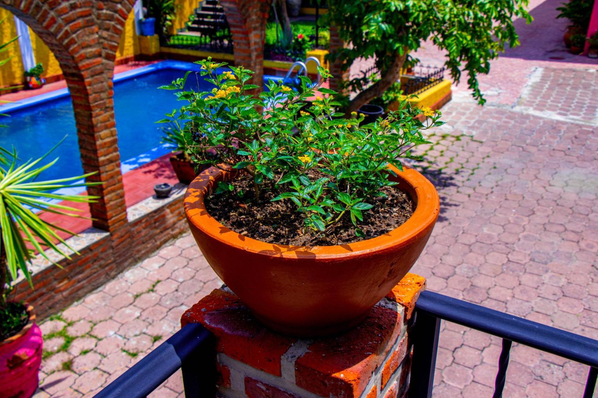 Inn Margaritas